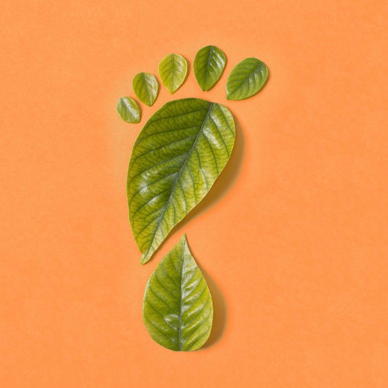 Artikel duurzaamheid Groene voetprint.